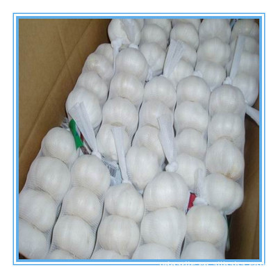 【供應(yīng)2013年優(yōu)質(zhì)出口級純白大蒜,各種規(guī)格,有自己工廠】價格,廠家,圖片,蔥姜蒜類,金鄉(xiāng)縣遠大偉業(yè)進出口貿(mào)易-